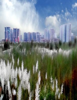 cities-image